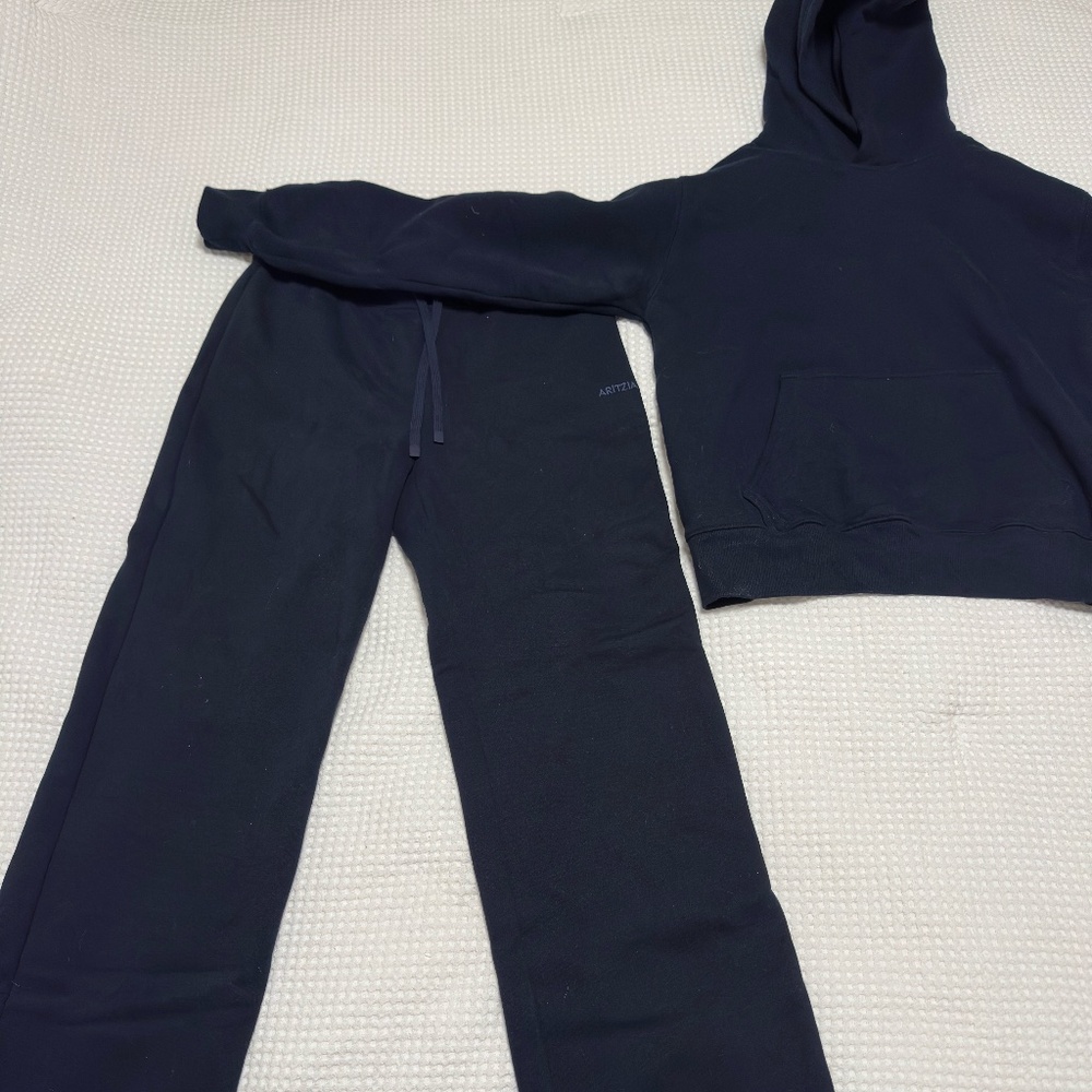 Aritzia sweatfleece pants